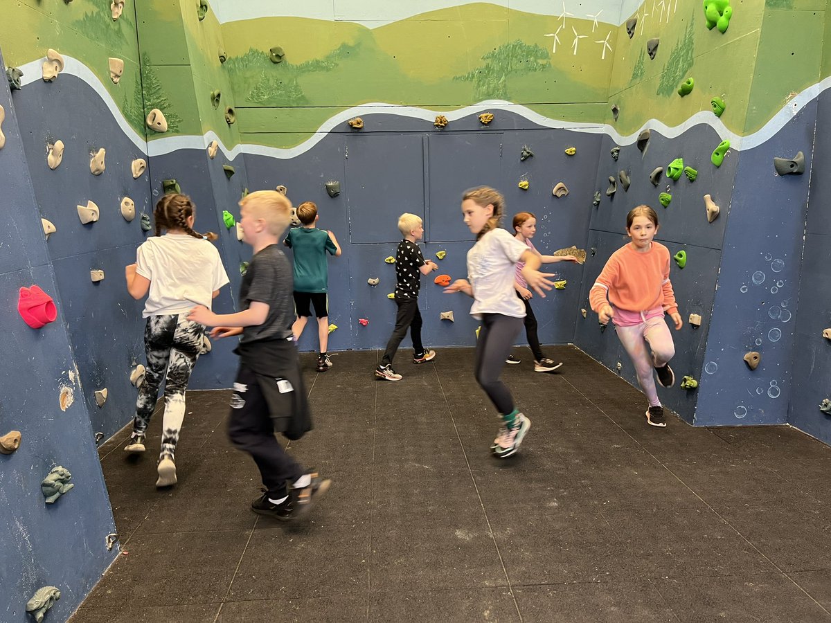 Year 5 Bryn Coch tweet media