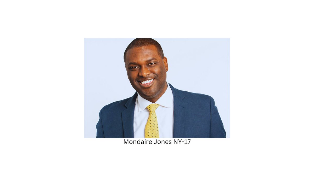 New Yorkers We need to elect Democrats for our own good Mondaire stands for SALT increase, women’s rights, LGBTQ, environmental protections, NO banned books, gun control… NY-17 and other districts need Democrats for all these things! #ONEV1 #DemsUnited