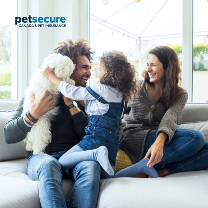 🐶 Did you know that only 3.5% of Canadian pet owners have pet insurance coverage? ✔️ With Petsecure Pet Health Insurance, you can access comprehensive veterinary care and up to 80% coverage without worrying about financial strain: petsecure.com/en-ca/benefits…