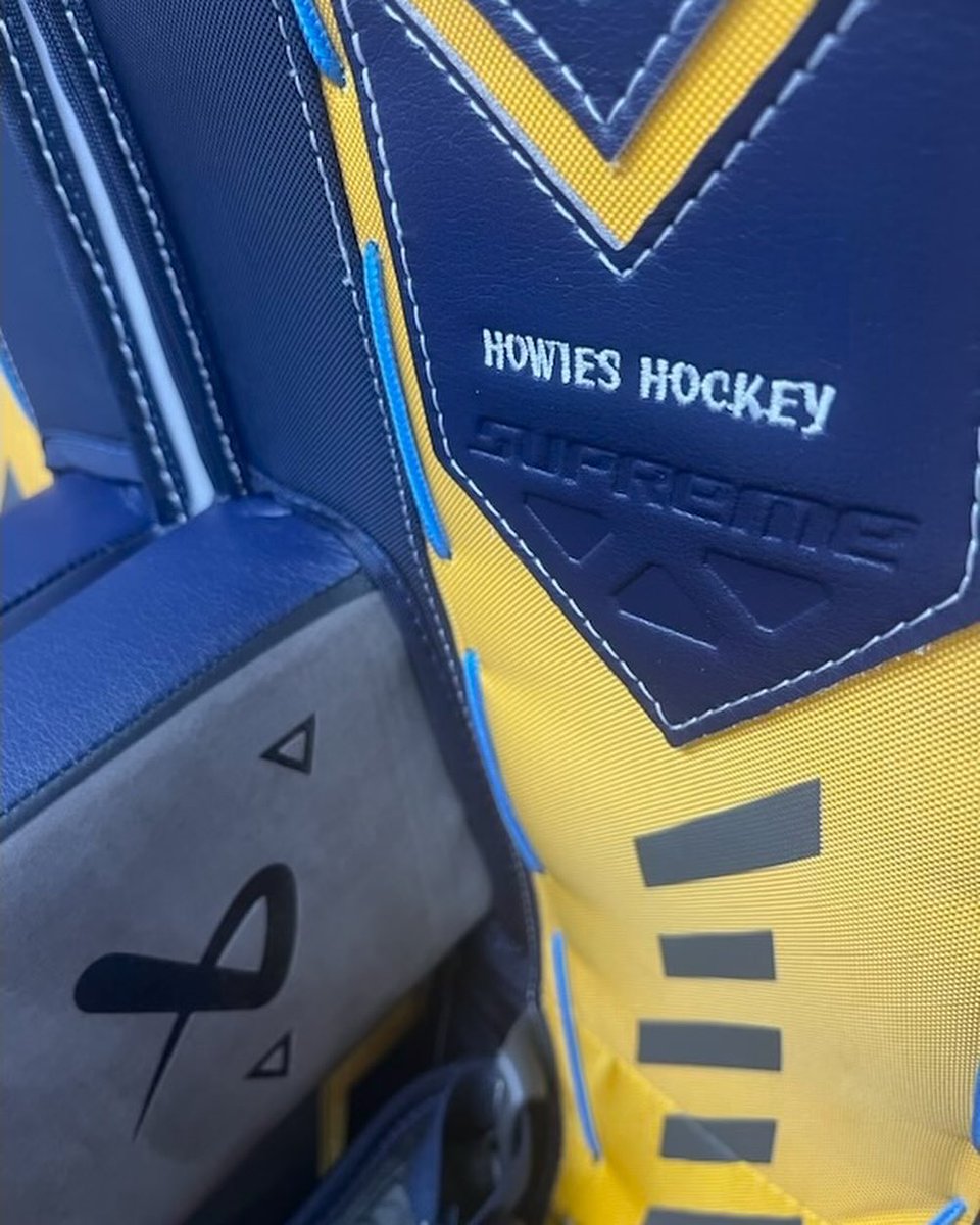 Our friends at <a href="/hockeytape/">Howies Hockey</a> had a custom set of <a href="/BauerHockey/">BAUER Hockey</a> Shadow goalie gear made and it’s gorgeous! Very #GGNApproved.