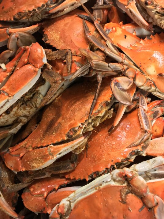 Samuels Seafood Company tweet media
