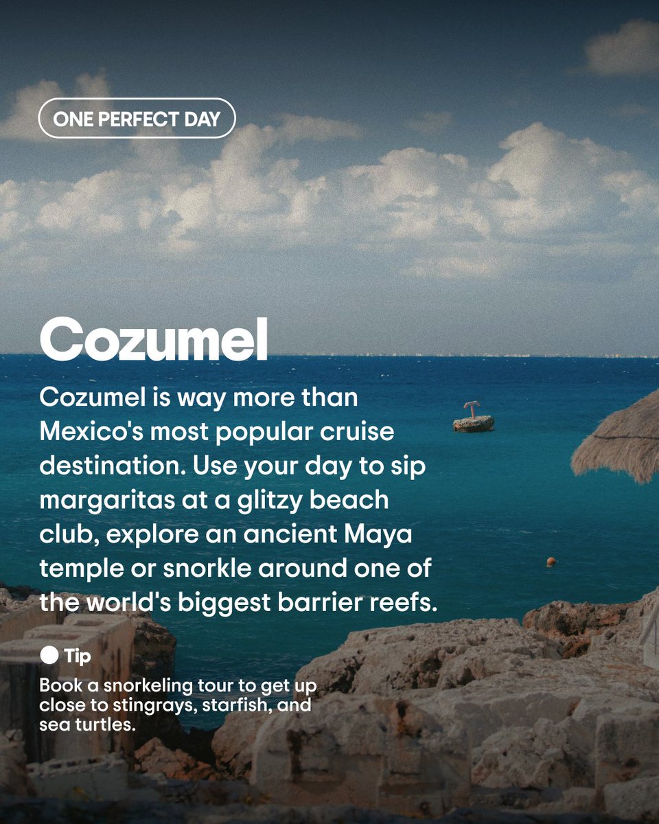 One perfect day in Cozumel: tripadv.sr/4bzjKCT