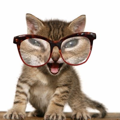 $gme roaring cathie #gme $rocat