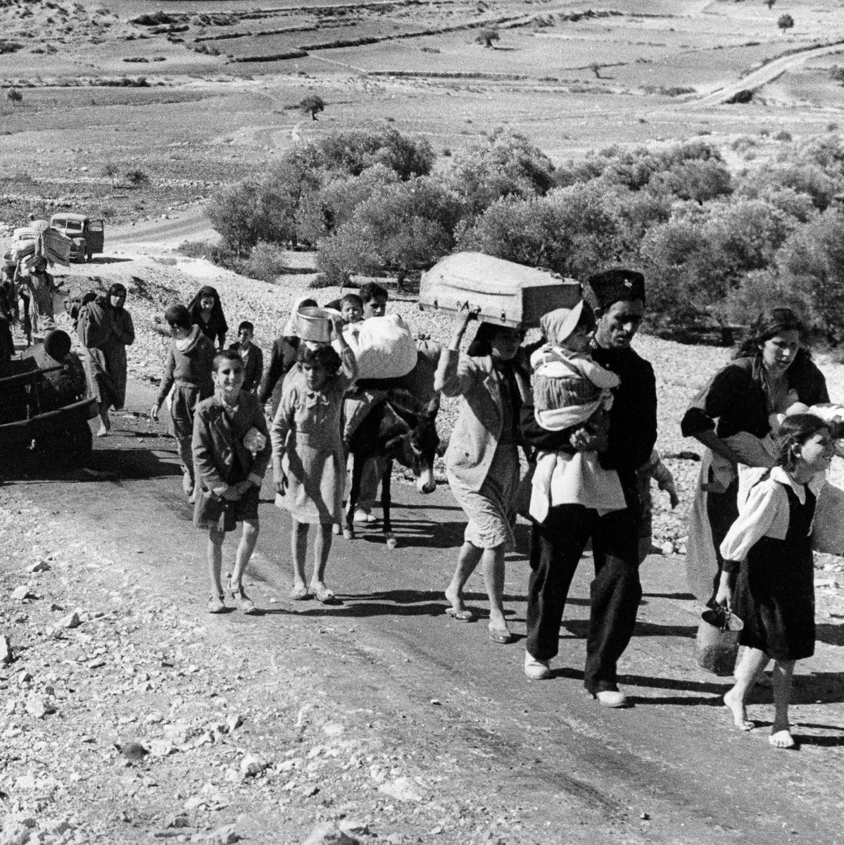 thehellofliving's tweet photo. an important reminder that the first nakba was 75 YEARS ago today. 750,000 palestinians were violently displaced, 15,000 palestinians were killed within 70 massacres, and 531 cities and villages were ethnically cleansed by being burnt down. this is STILL ongoing, do not forget 🇵🇸 https://t.co/5rCcLQOUVD