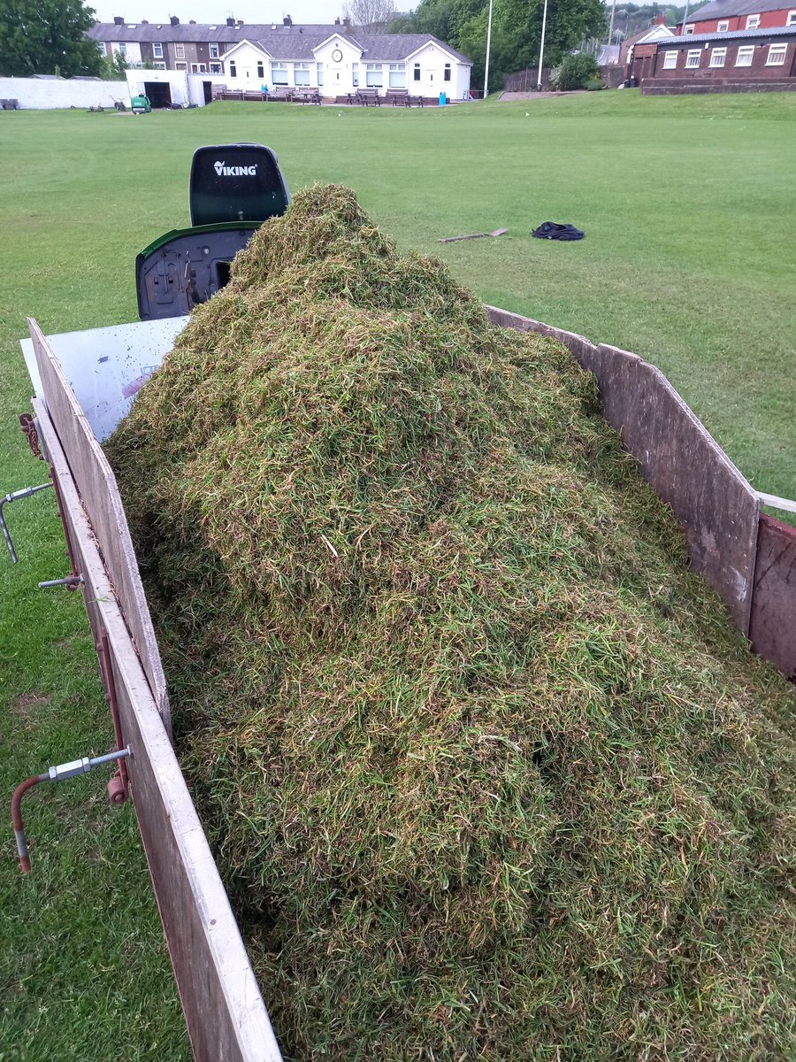 What a load of old rubbish!!

Verti Cut, followed by a cut, followed by another feed of 8-0-6. Was very impressed with the colour last time!