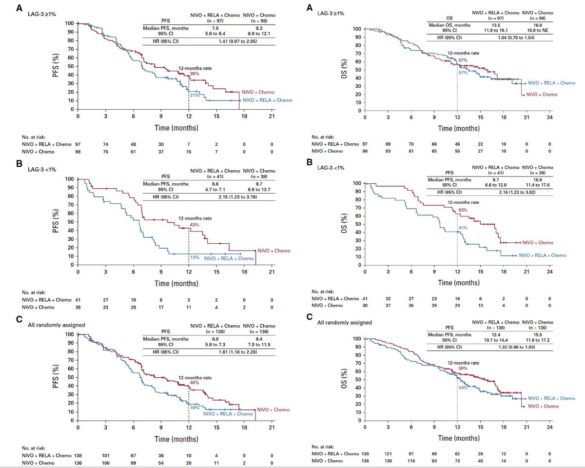 First-Line Nivolumab & Relatlimab Plus CTx for GC or GEJ Adenocarcinoma @JCO_ASCO doi.org/10.1200/JCO.23… 🔎Phs II RELATIVITY-060 🚫study, primary EP° not met 🤨lower CTx exposure in exp. arm with actually worse PFS/OS @myESMO