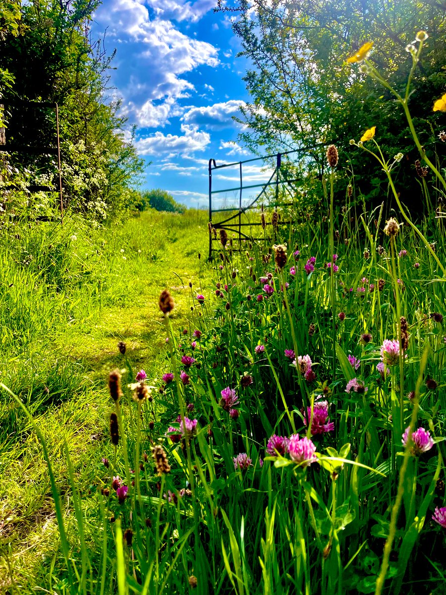 Cors Ddyga Anglesey what a beautiful afternoon @S4Ctywydd @bbcweather @BBCWthrWatchers @Ruth_ITV @itvweather @DerekTheWeather @AngleseySights @AngleseyScMedia