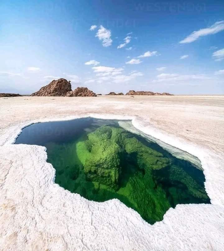 Lake Karum in Ethopia 🌎🤩 

It's one of the lowest points on the African continent, lying more than 100 meters below sea level. Additionally, it's a major source of salt, harvested by the Afar people using traditional methods.

#Nature #follow #Beautiful #Travel #followformore