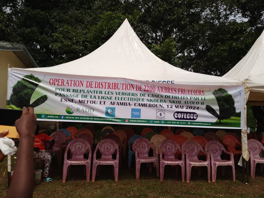 Youth For Green Impact tweet media