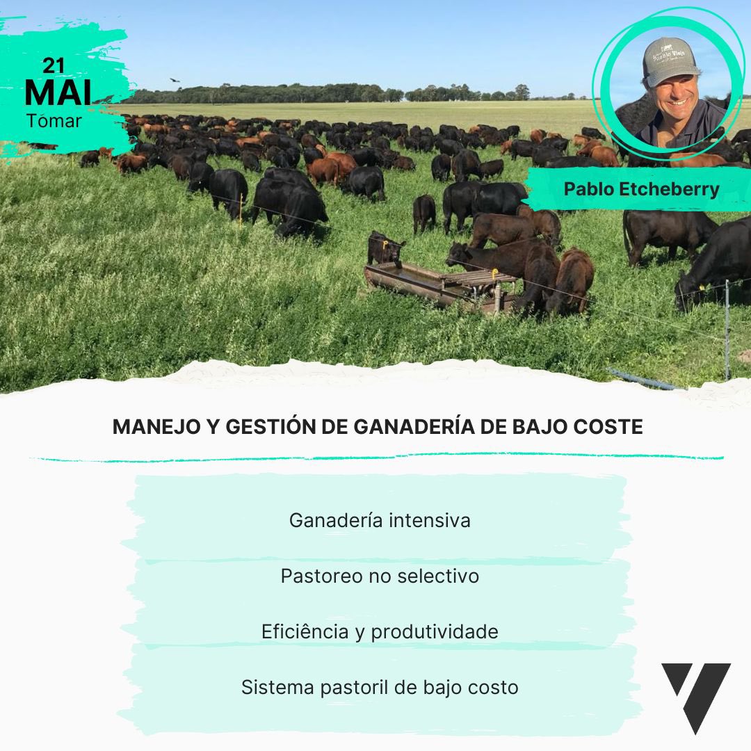 Por si algún Portugués 🇵🇹 nos sigue, la semana que viene estaremos en Tomar (40 min. de Lisboa) compartiendo lo que nos gusta!
También en Trujillo 🇪🇸 y Bilbao.