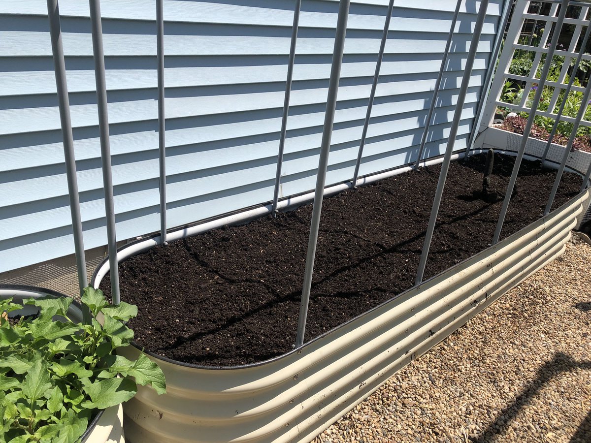 So today’s massive project was hand-digging entire 17”D x 8’L x 2’W bed with spade (shovel impossible because of bug mesh frame), laying wall-to-wall hardware cloth, installing watering reservoirs I am trialing, & putting the dirt back. (2/2) #oww #UrbanGardening #OldManAndTheSea