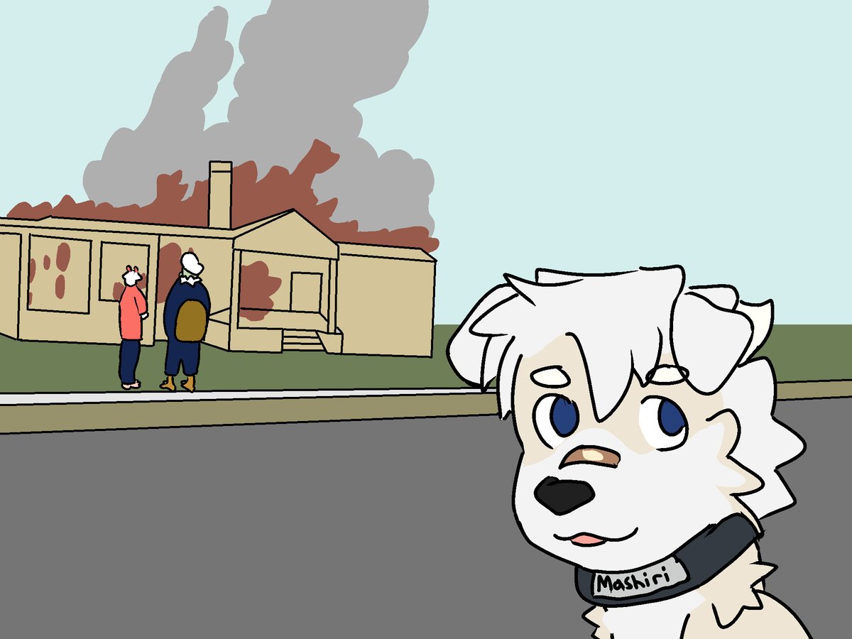 Disaster Dog