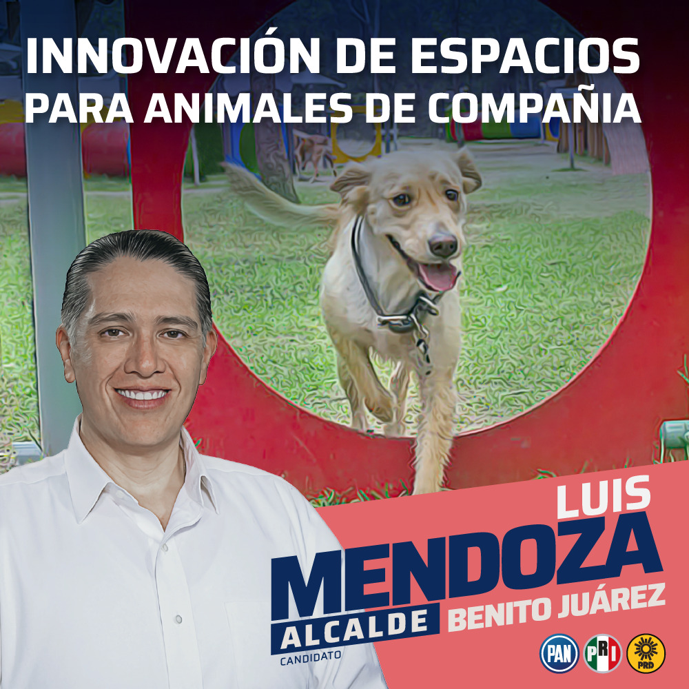 En Benito Juárez, estamos listos para innovar los espacios para nuestros amigos de cuatro patas. ¡Más comodidad, más diversión, más felicidad para ellos!🐶