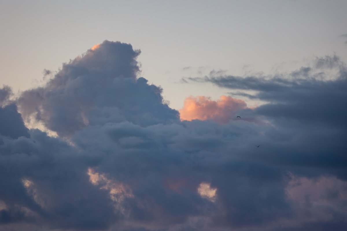 I am such a sucker for cloud photos. The fascination only seems to amplified on the coast with constantly changing and even more epic formations. #Newfoundland #Canada #ExploreNL #ExploreCanada #nlwx