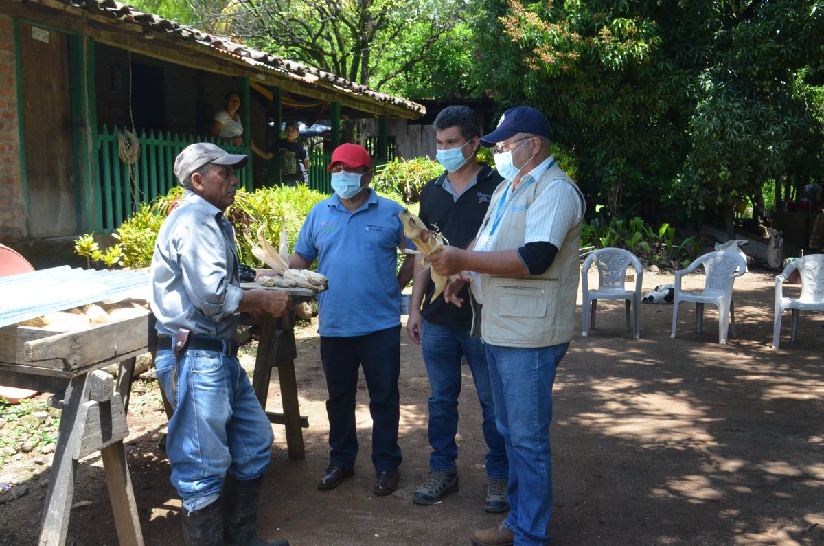 ¡Feliz #DíadelAgrónomo! 👩‍🌾🧑‍🌾

Felicitamos a hombres y mujeres que se dedican incansablemente al trabajo rural y comunitario para lograr sistemas alimentarios más eficientes y sostenibles en Nicaragua, sin dejar a nadie atrás. 

#MejorProducción #MejorNutrición #UnaVidaMejor