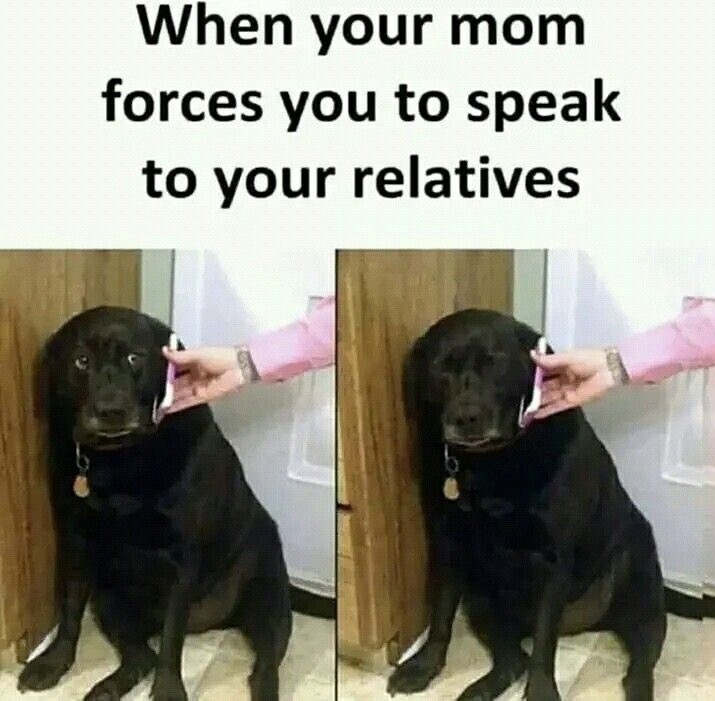 memesbuddyx's tweet photo. Mom’s Facts..!!!😂😂
#MemeClub #Funny #Economia #Wordle #TheChase #şükür #BeaCukaiTerbaik #designer #HotGirlSummerTour #Economia #TheChase #NouvelleCalédonie https://t.co/iHUiZVulk1