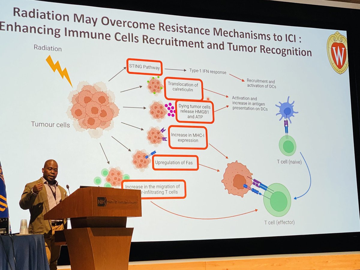 RiyueSunnyBao's tweet photo. #IOTN Now we have Dr. Quaovi Sodji @UWMadison speaking on his lab’s innovative work in #radiopharmaceutical therapies and immunotherapies!! Important to consider tumor biology and time points of treatment regimen. @RPatelMDPHD https://t.co/zP3xoTihl9