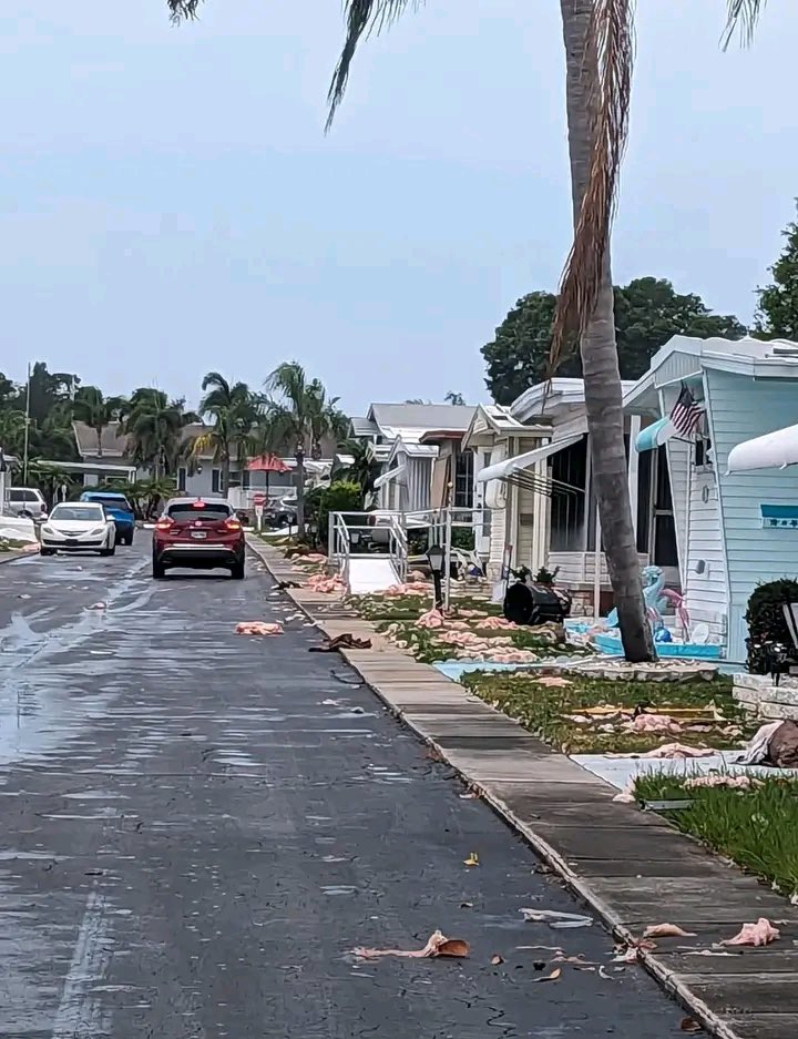 Some photos from residents in Largo after yesterday’s severe weather. The national weather service tells us this was caused by 60 mph straight line winds.