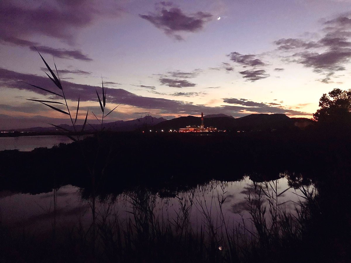 Evening, blanketing over the marshes. 📷by me. Alcúdia, Mallorca.
