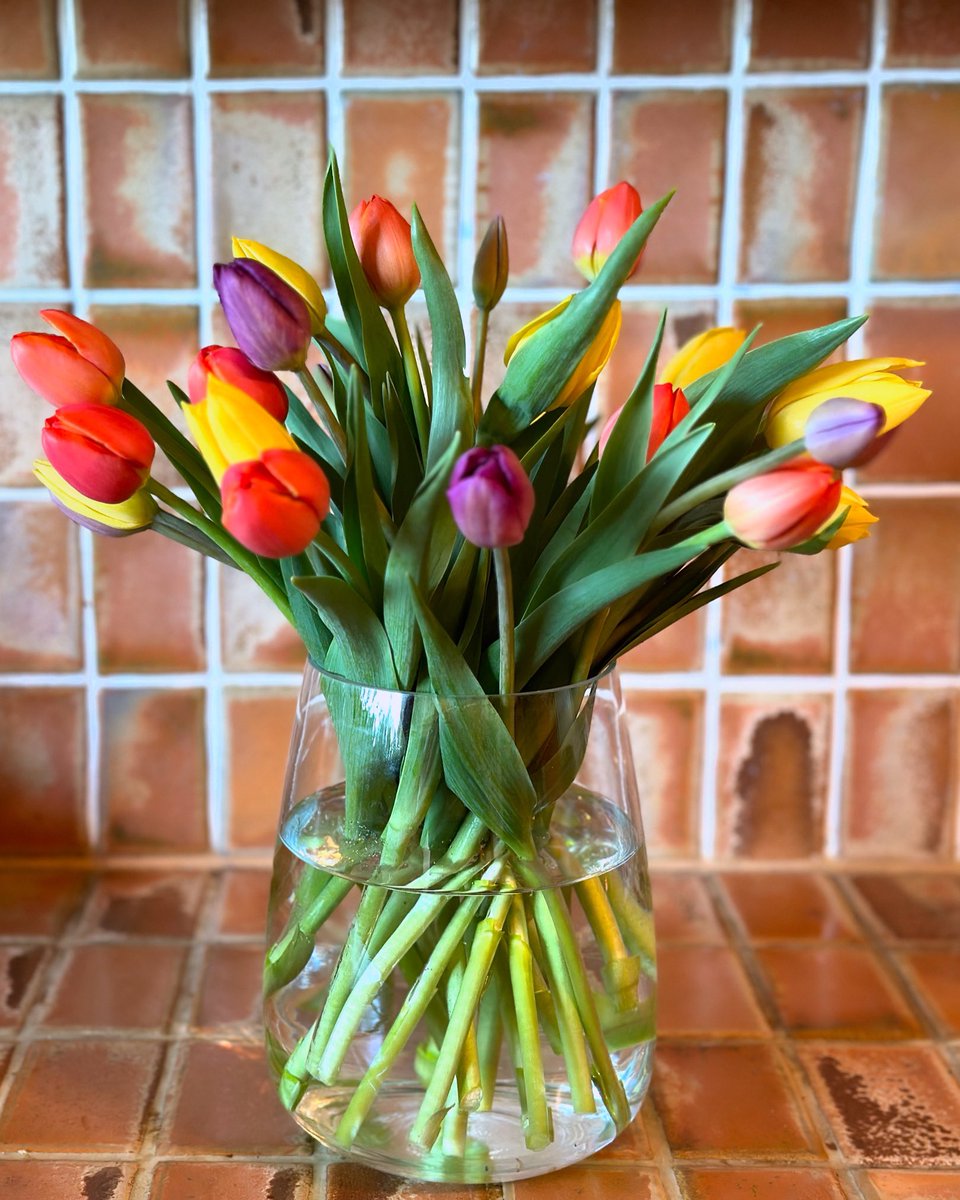 Very welcomed late birthday flowers! Tulips - my favourites. 

#tulips #latebirthday #flowers #freshflowers #happy