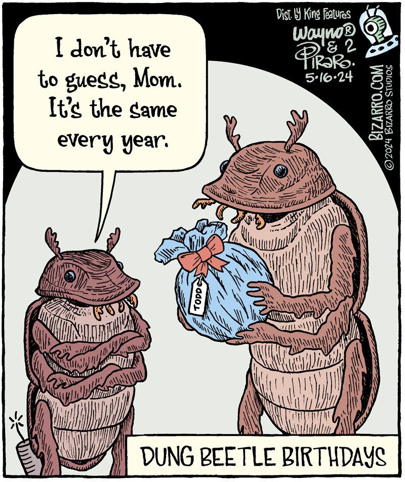 Same Old Stuff
#comics #cartoons #insects #dungbeetles #birthday #Bizarro