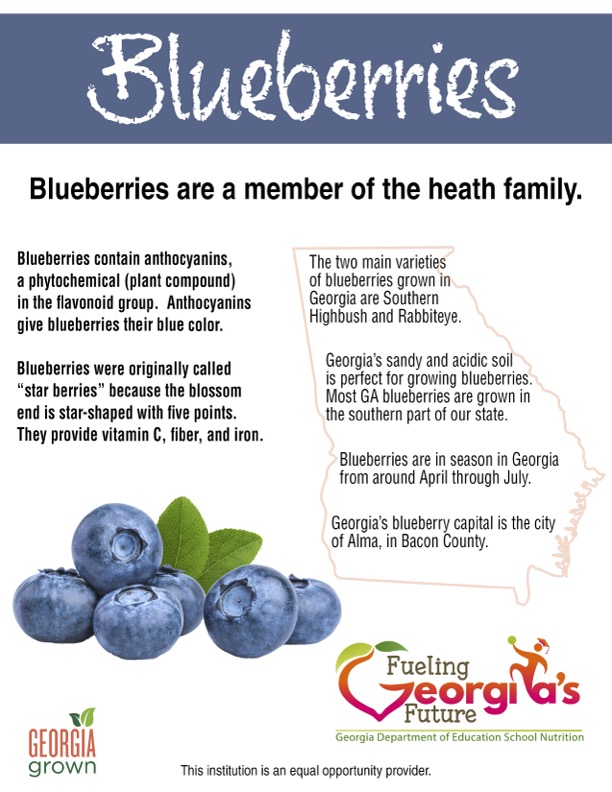 May’s Harvest of the Month is #blueberries!  #Georgia boasts many farms growing these delicious fruits and many proudly carry the #GeorgiaGrown label. 

Discover them here: georgiagrown.com/find-georgia-g…

#Agriculture #Produce #HarvestoftheMonth #Agribusiness #Buylocal #Shoplocal