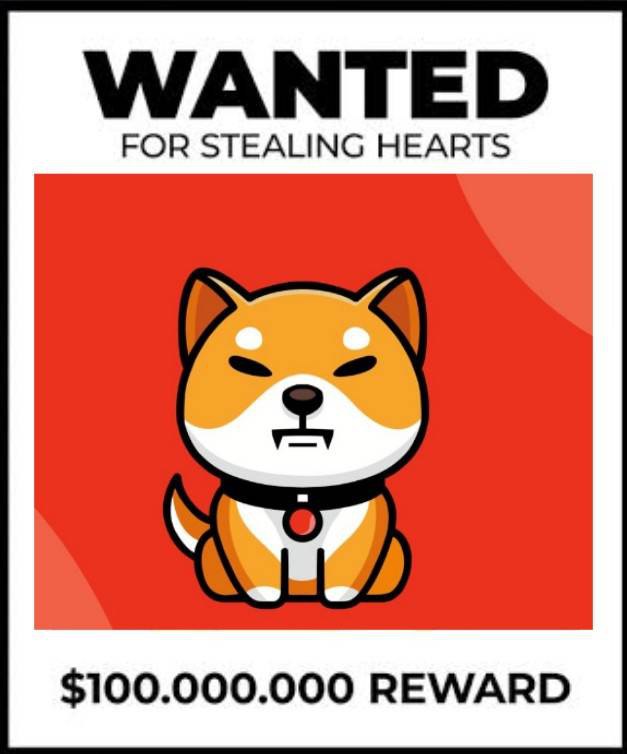 This cute little #Shiba has been stealing hearts across town. 

#Babyshib's charm is irresistible! 🐕