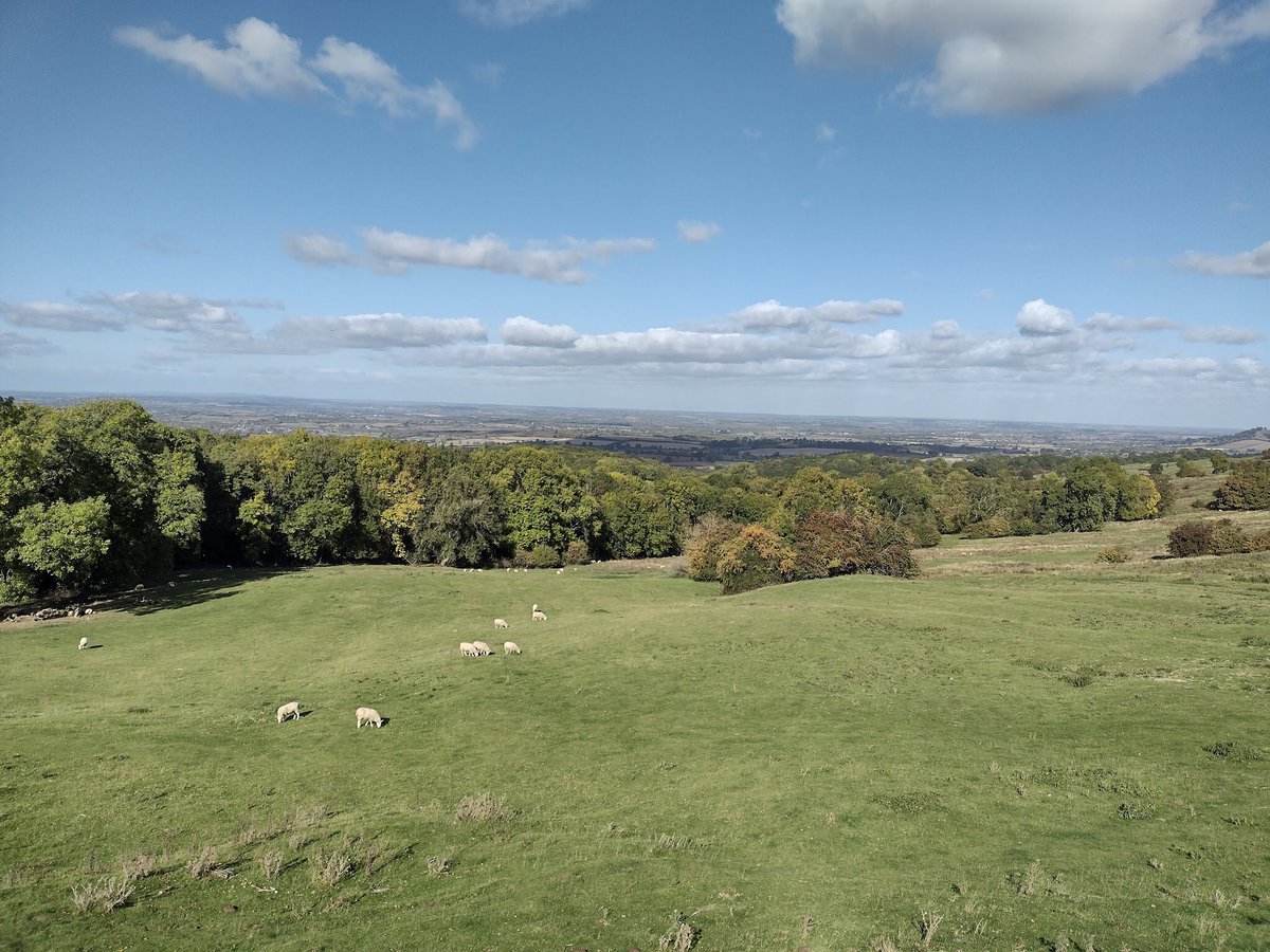 'The Campden Wonder and Weston Sub Edge Wander' – 10.30 am start A strenuous guided walk with @CotswoldsNL Wardens on Thursday 30th May '24. A circular walk from Chipping Campden returning via Dovers Hill. Full details at: cotswolds-nl.org.uk/guided_walks/t… 📷 Ian Macpherson