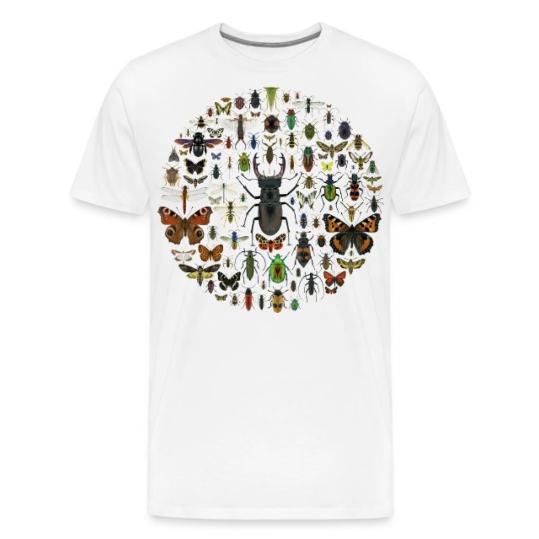 Designing collages is a true love-hate relationship of mine. A patience game with an open outcome, you never know if or when it will be finished. But when the time comes, I’m happy and a little proud to have achieved it and I enjoy looking at it.

#collage #insect #insects