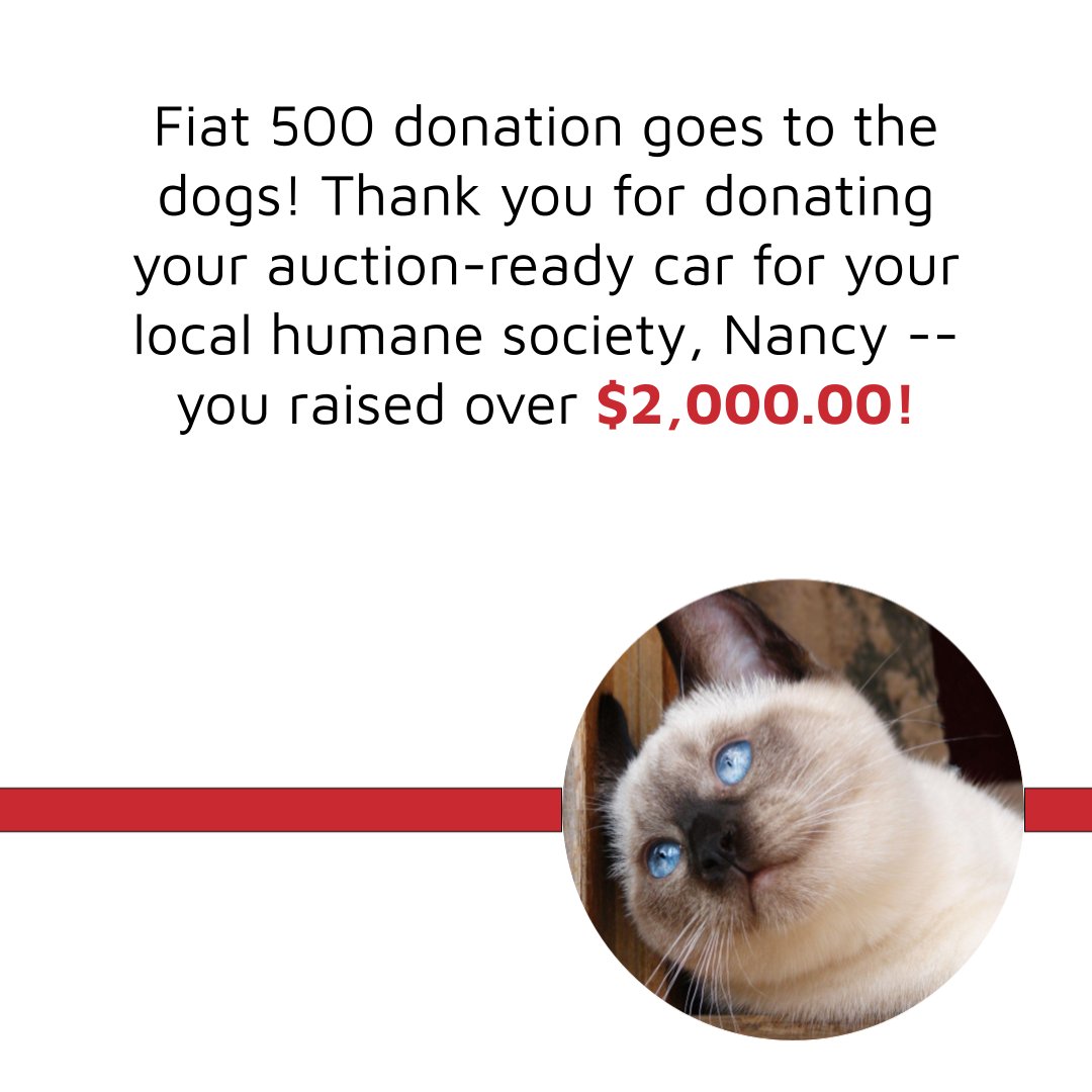 Dogs, cats, donkeys, or turtles -- your 🚗🚙🚕donation can help ALL the critters! #sarniahumanesociety #torontohumanesociety #windsorhumane #winnipeghumanesociety