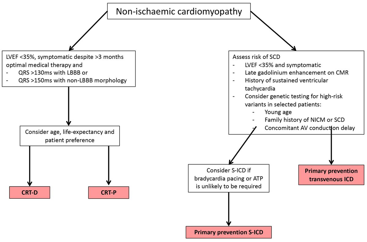 🔴Implantable Cardiac Devices in Patients with Brady- and Tachy-Arrhythmias: An Update of the Literature #openaccess #2024Review imrpress.com/journal/RCM/25… #CardioEd #CardioTwitter #cardiotwitter #cardiology #cardiotwiteros #cardiovascular #medtwitter #medtwitter