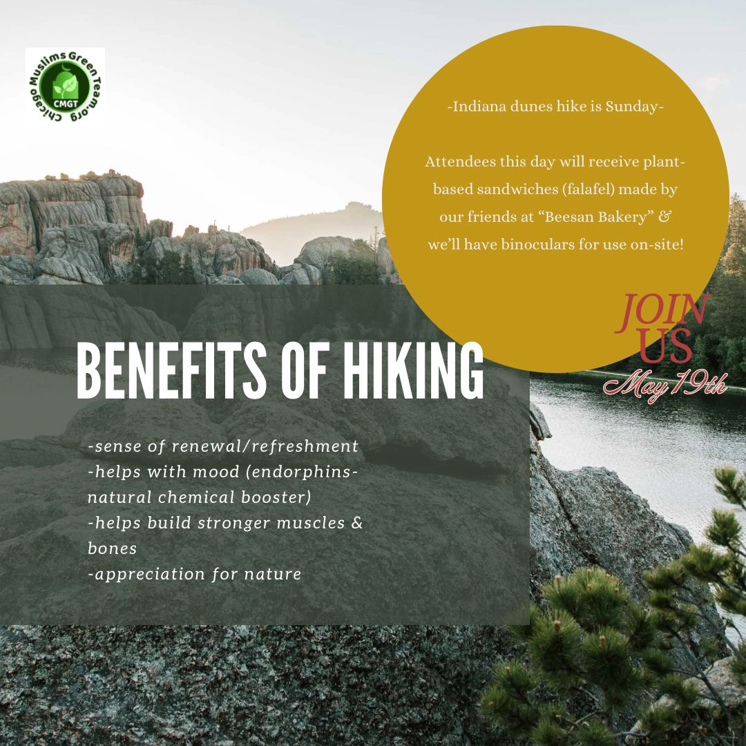 ChiMuslimsGreen's tweet photo. Join our hiking this Sunday at Indiana Dunes. Free Sandwich will be provided. Try out our new binoculars for bird watching. May 19 is the Dunes International Birding Festival. 
Register here: https://t.co/19JYInECGO https://t.co/ShBxwpHCO2