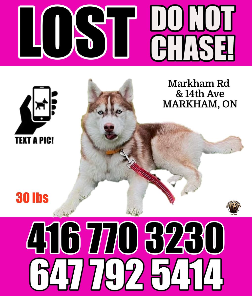LOST DOG #MarkhamRd #14th #Markham #Ontario

If seen, please do not approach, chase or call out! Note the direction of travel, and call/text right away. Please, do not post sightings online. Missing since May 14, 2024.

#markhamontario #yorkregion