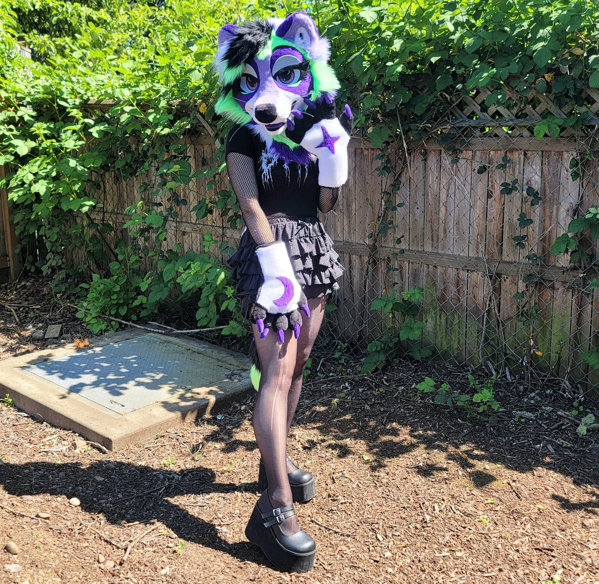 Raccoon premade for #furlandia2024 🫶💜🌙⭐️ Ill be in the dealers den! who will I see there?
#raccoonfursuit #fursuitmaker #raccoonfurry #fursuitmaking #furryartist