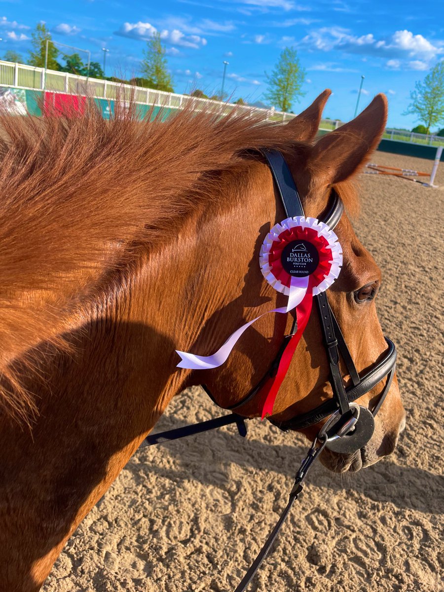 Mine and Yorkie’s first rosette together! 😃

When you see a stride in two, and next thing we’re taking off! (I can never get used to how much scope he has!!🤩✈️)

Thankyou to bae for letting me steal your precious boy 🩵👑 

#theking 
#aeroplane
#yorkhill