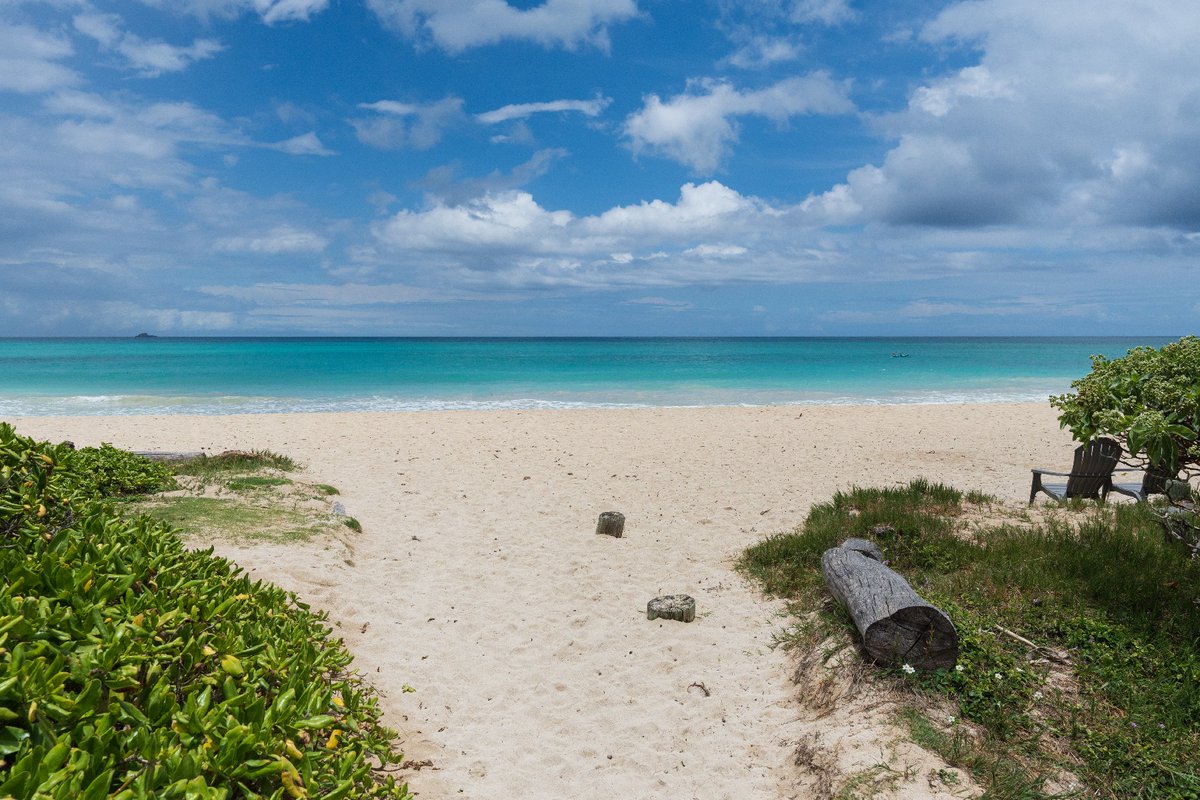 CarvillSIR's tweet photo. New Listing | 156 N Kalaheo Ave., Kailua

3bed | 2bath | 1,570  sqft | $2,295,000

This Kailua Beach home exudes a blend of modern elegance and coastal charm. Contact Maureen O'Guin. Visit: https://t.co/0XihNVCe3O

#carvillsir #kailuarealestate #beachside #sothebysrealty https://t.co/DHuYduJaT0