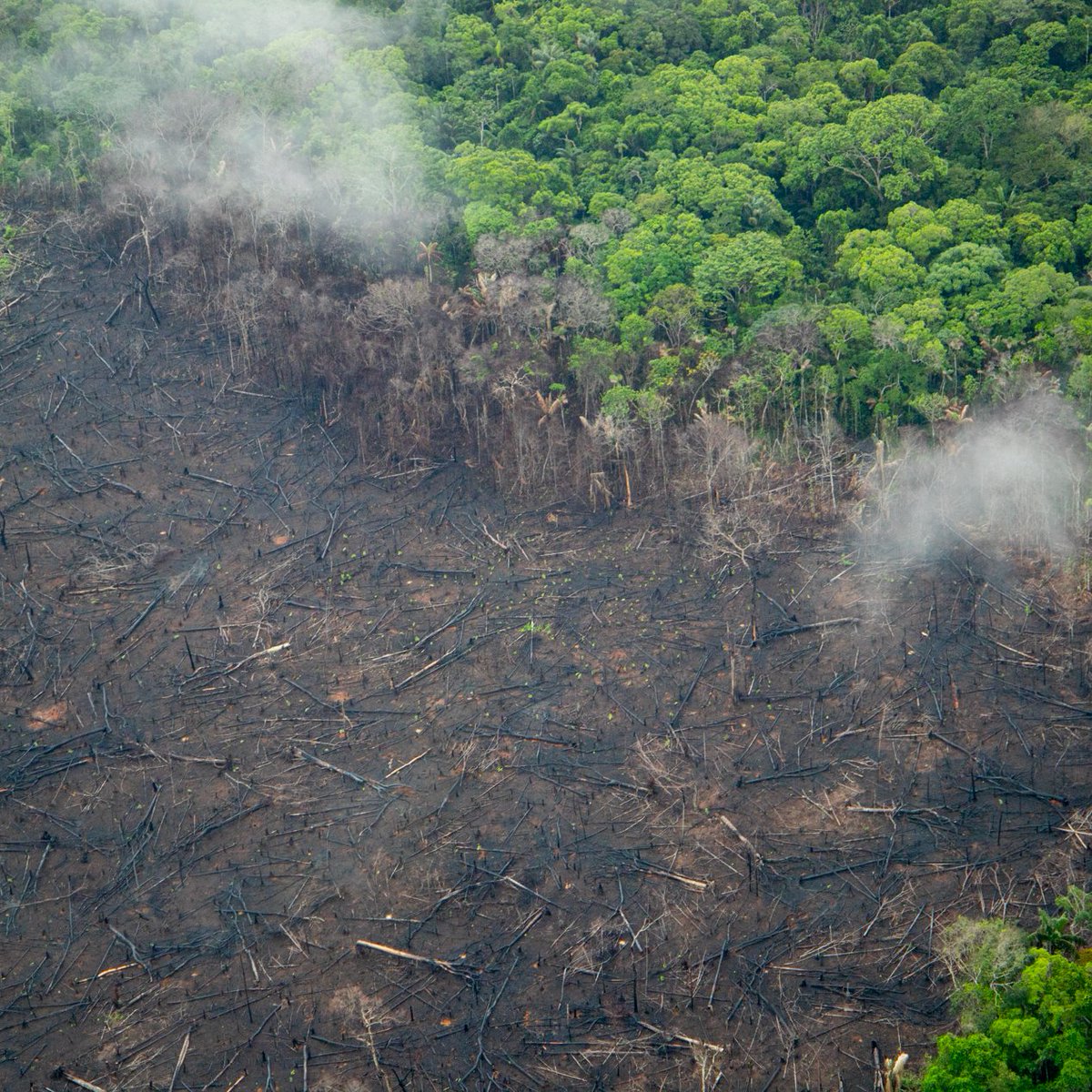 Estos huecos inmensos antes eran selva espesa. Sobrevolamos la Amazonía colombiana y vimos la afectación que sufren parques nacionales y reservas forestales. Junto a @USAID_Colombia, apoyamos al gobierno de Colombia para enfrentar la deforestación y los crímenes ambientales.