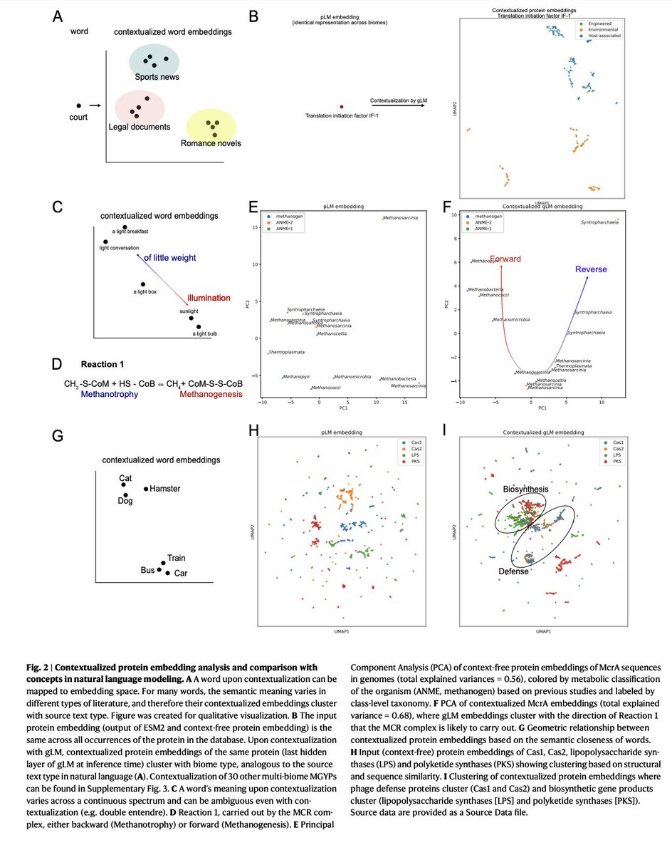 BioDecoded's tweet image. Genomic language model predicts protein co-regulation and function
nature.com/articles/s4146…

#Bioinformatics