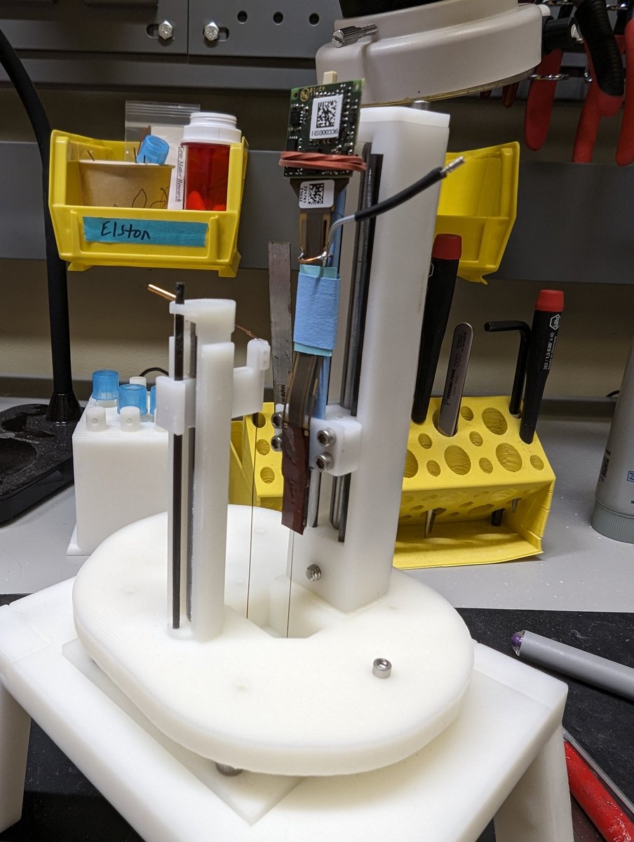 ThomElston's tweet image. Big news! I've accepted an offer from @UTAustin @ut_neuroscience
and will start my lab in January! We'll be doing NHP #neuropixel recordings and BCIs to understand the neural mechanisms of attention and self control. It's a dream come true and I am so thankful to my mentors 🥲