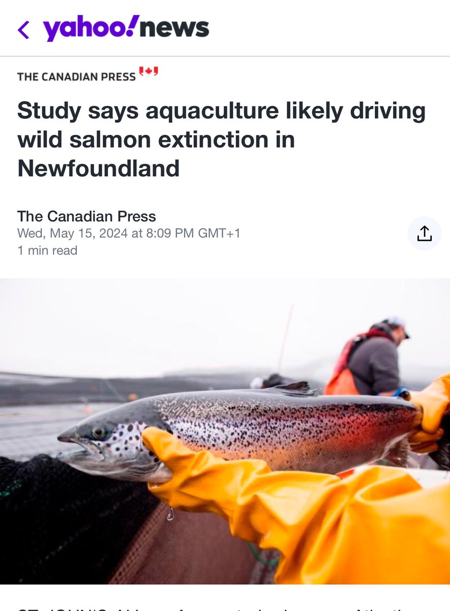 **BREAKING**
Salmon farms are killing off wild salmon. AGAIN

ca.news.yahoo.com/study-says-aqu…