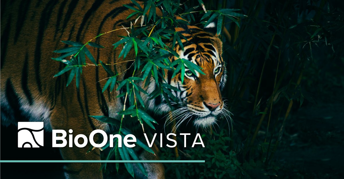 In honor of #EndangeredSpeciesDay on May 17, this month's BioOne VISTA collection highlights the critical research and conservation efforts for endangered species. Check it out: ow.ly/KfxC50RHrgN #conservation #biodiversity