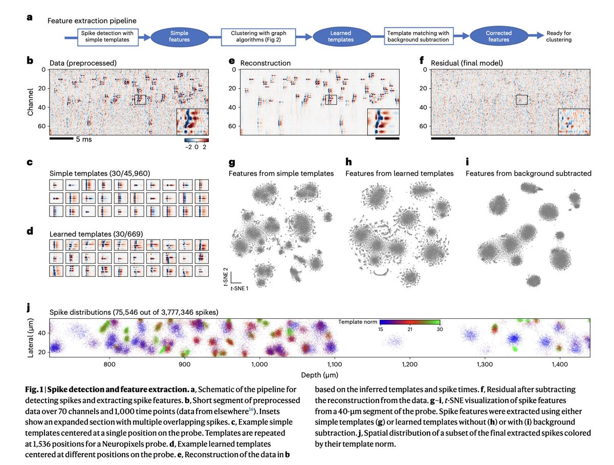 BioDecoded's tweet image. Spike sorting with Kilosort4
nature.com/articles/s4159…

#Bioinformatics