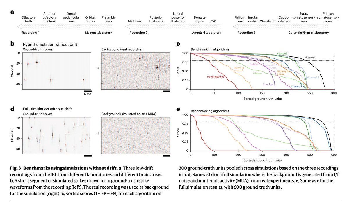 BioDecoded's tweet image. Spike sorting with Kilosort4
nature.com/articles/s4159…

#Bioinformatics