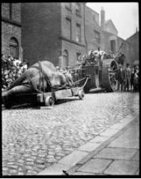 #Liverpool On This Day - 1898: The sad execution of Don Pedro the elephant at the Barnum & Bailey Circus. Went on display at the William Brown Museum 1906 till 1941 liverpoolmuseums.org.uk/stories/don-pe…