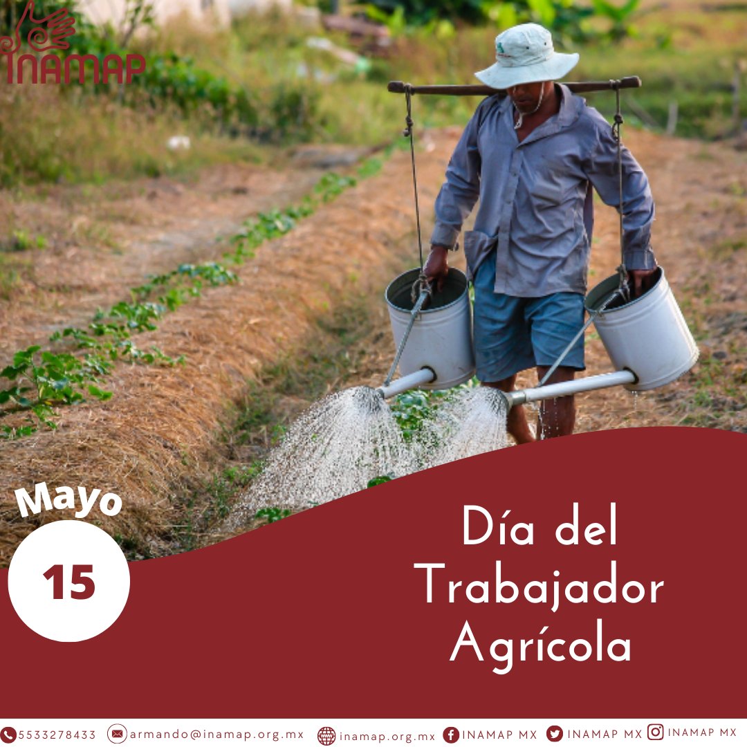 INAMAP MX tweet media