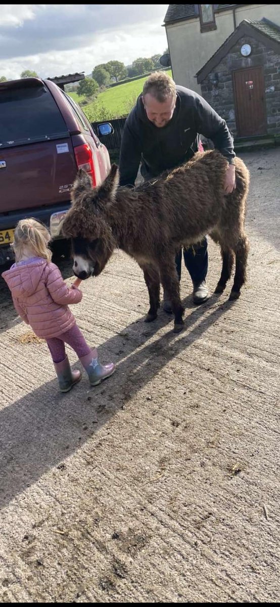 URGENT, PLEASE SHARE TO HELP FIND THIS DONKEY STOLEN FROM #BROWNEDGE #STAFFORDSHIRE #STOKE #ENGLAND #UK 'Donkey stolen from fields on Woodhouse lane Brown Edge, between Friday night and Sunday morning. Was with a group of cows. Anyone seen or heard anything it was as a 3 year