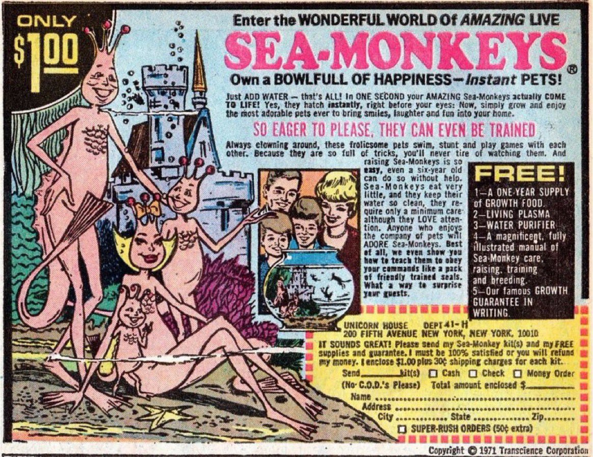 40 years later and I still don’t really understand what the fuck Sea Monkeys were.