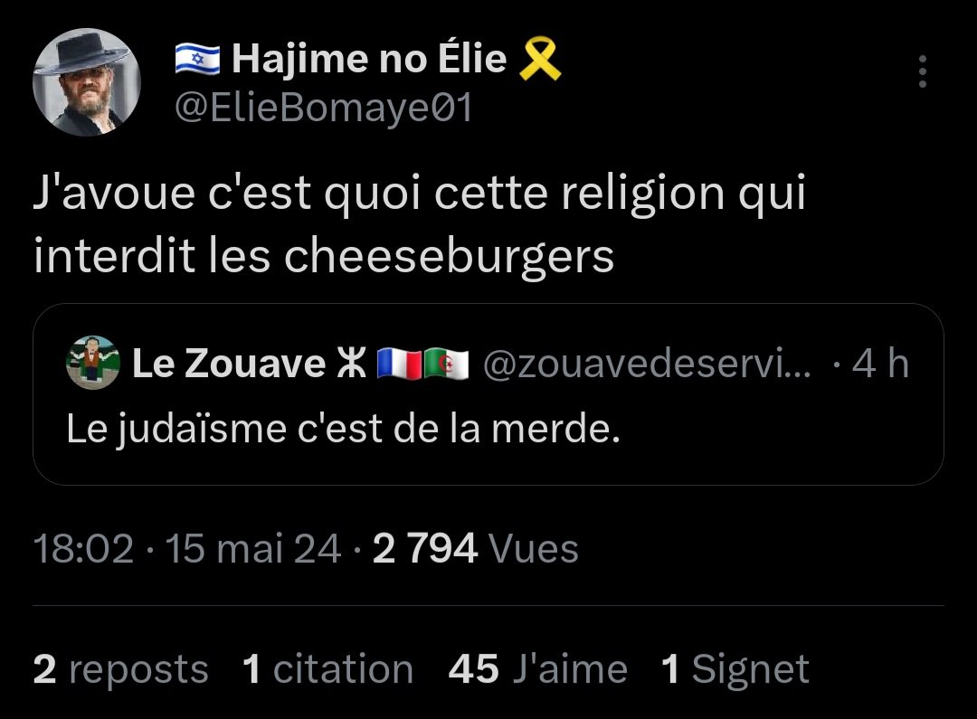 Le fait qu'il ait pensé qu'il allait lui arriver des dingueries en tweetant ça, au final y a juste le Jewish Twitter qui a improvisé une session vanne dans les quotes ptdrrrr