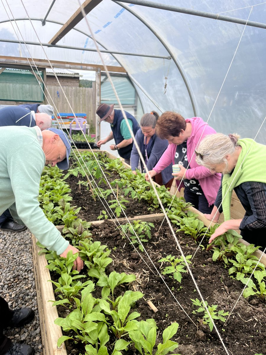 Colman Power tweet media