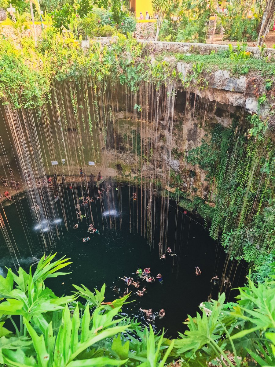 Swimming in cenotes is divine. It's purifying heart and soul.
#MindfulMoments #NatureWonders